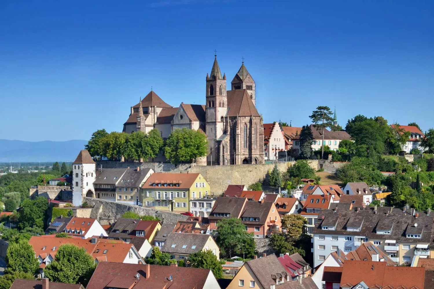 Breisach Münster Führung