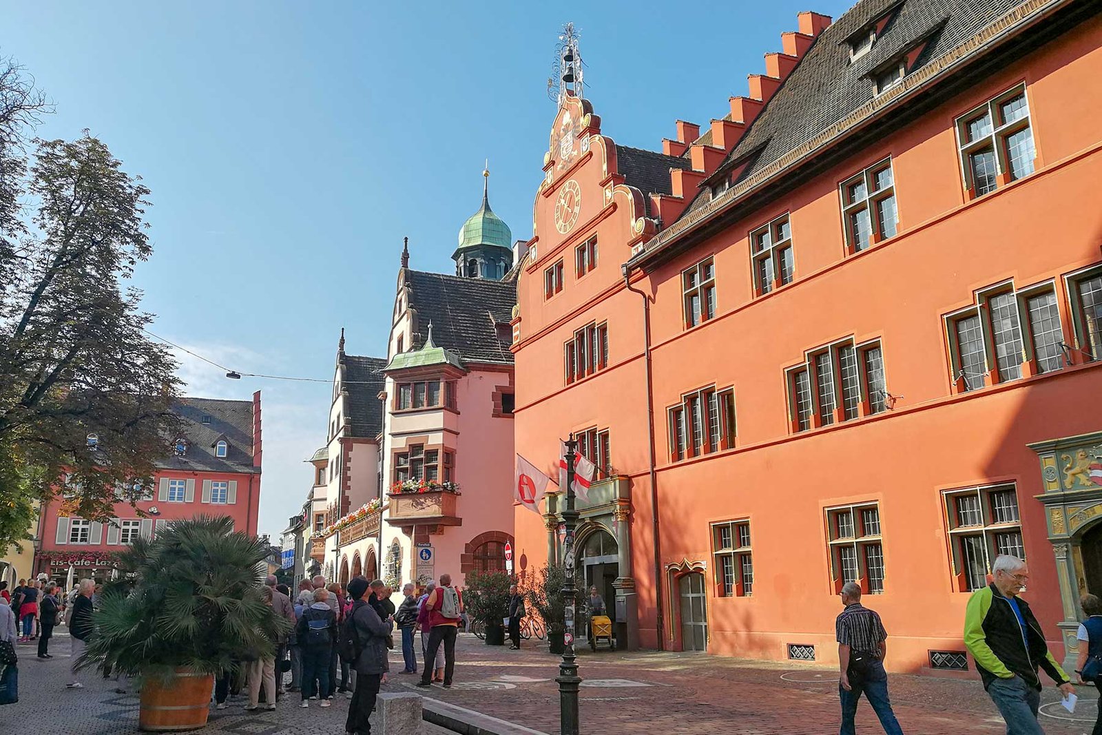 Guiding in Freiburg Seminar